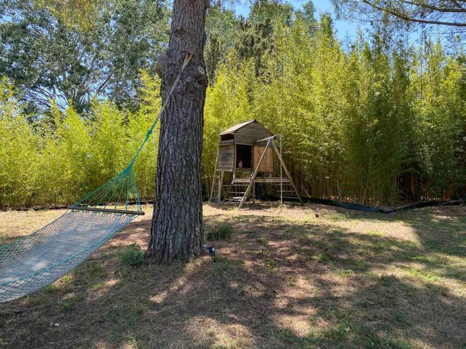 Petit Mas Calme Typique Du Sud ! Vila Valergues Exterior foto
